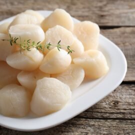 Scallops XL